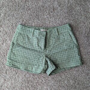 Olive Green Eyelet Shorts